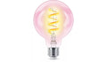 נורת פילמנט חכמה צבעונית Philips Smart LED Globe G95 E27 RGB 40W – נורת כדור שקופה עם מיליוני צבעים