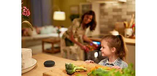 שליטה קולית בתאורה חכמה Philips Smart LED במטבח באמצעות עוזרת קולית Google